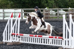 Class 3 -  Fences not above 2'3